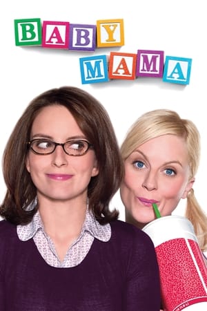 Baby Mama (2008) Dual Audio | Dubbed Hindi Movie BluRay [900MB]